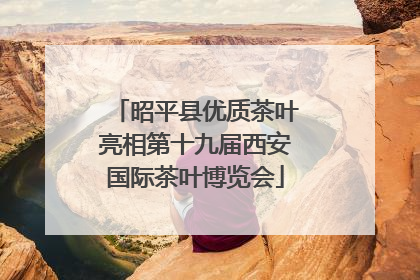 昭平县优质茶叶亮相第十九届西安国际茶叶博览会