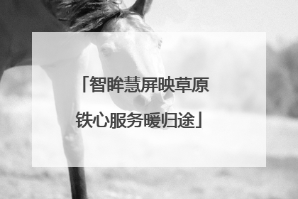 智眸慧屏映草原 铁心服务暖归途