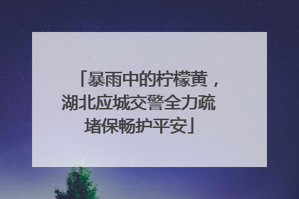 暴雨中的柠檬黄，湖北应城交警全力疏堵保畅护平安