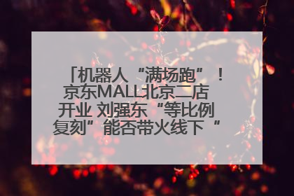 机器人“满场跑”！京东MALL北京二店开业 刘强东“等比例复刻”能否带火线下“618”？
