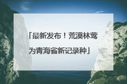 最新发布！荒漠林莺为青海省新记录种