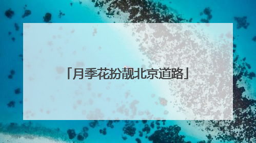 月季花扮靓北京道路