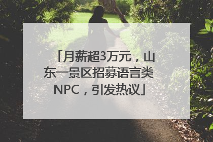 月薪超3万元，山东一景区招募语言类NPC，引发热议