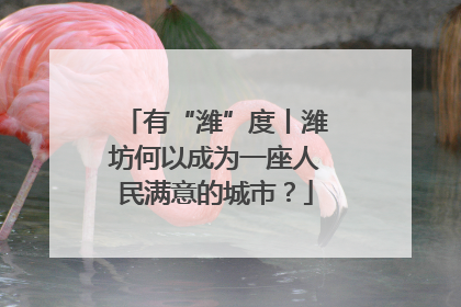 有“潍”度丨潍坊何以成为一座人民满意的城市？