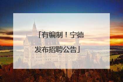 有编制！宁德发布招聘公告