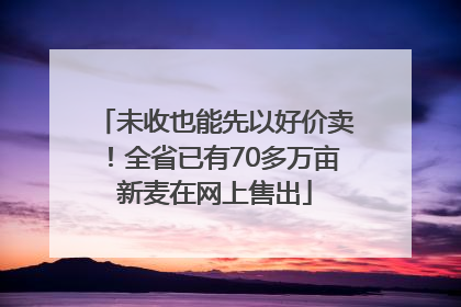 未收也能先以好价卖！全省已有70多万亩新麦在网上售出