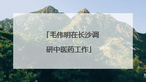 毛伟明在长沙调研中医药工作