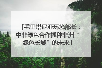 毛里塔尼亚环境部长：中非绿色合作播种非洲“绿色长城”的未来