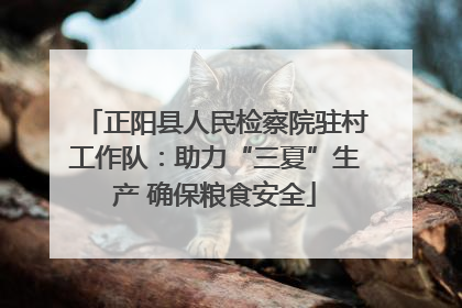 正阳县人民检察院驻村工作队：助力“三夏”生产 确保粮食安全