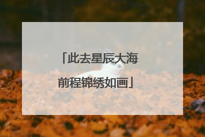 此去星辰大海 前程锦绣如画