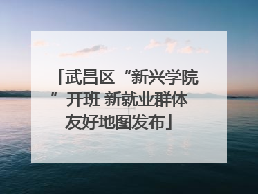 武昌区“新兴学院”开班 新就业群体友好地图发布