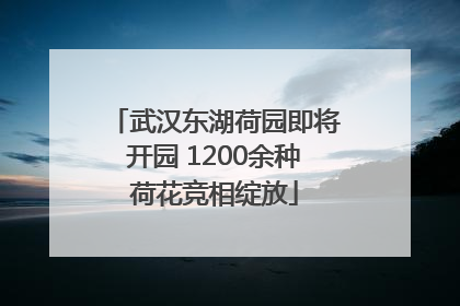 武汉东湖荷园即将开园 1200余种荷花竞相绽放
