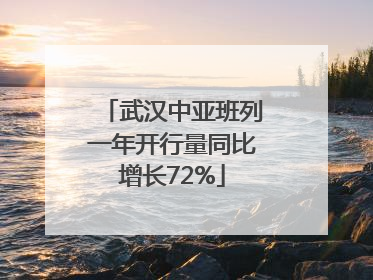 武汉中亚班列一年开行量同比增长72%