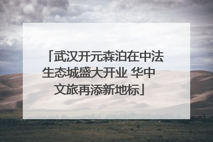 武汉开元森泊在中法生态城盛大开业 华中文旅再添新地标