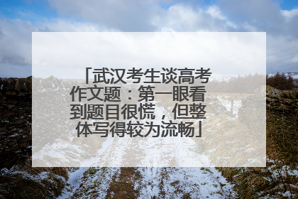 武汉考生谈高考作文题：第一眼看到题目很慌，但整体写得较为流畅