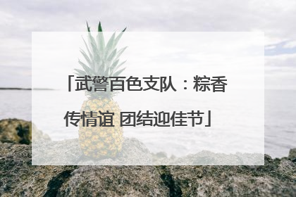 武警百色支队：粽香传情谊 团结迎佳节