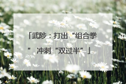武陟：打出“组合拳” 冲刺“双过半”