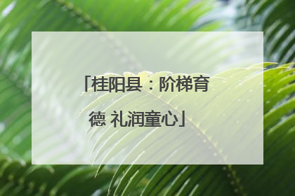 桂阳县：阶梯育德 礼润童心