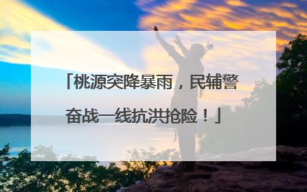 桃源突降暴雨，民辅警奋战一线抗洪抢险！