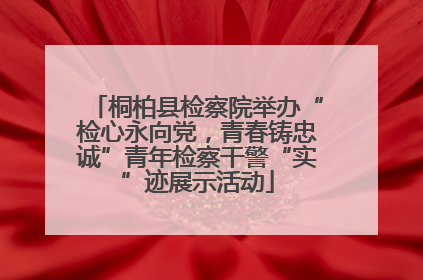 桐柏县检察院举办“检心永向党，青春铸忠诚”青年检察干警“实”迹展示活动