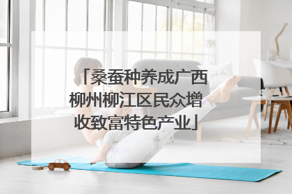 桑蚕种养成广西柳州柳江区民众增收致富特色产业