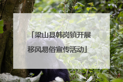 梁山县韩岗镇开展移风易俗宣传活动