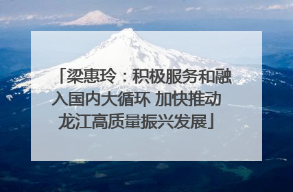 梁惠玲：积极服务和融入国内大循环 加快推动龙江高质量振兴发展