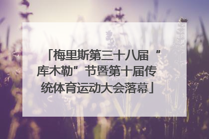 梅里斯第三十八届“库木勒”节暨第十届传统体育运动大会落幕