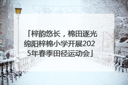 梓韵悠长，棉田逐光 绵阳梓棉小学开展2025年春季田径运动会