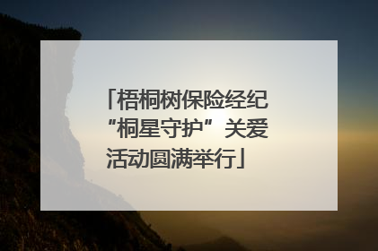 梧桐树保险经纪“桐星守护”关爱活动圆满举行