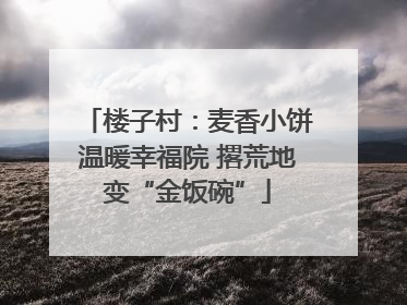 楼子村：麦香小饼温暖幸福院 撂荒地变“金饭碗”