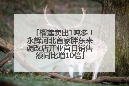 榴莲卖出1吨多！永辉河北首家胖东来调改店开业首日销售额同比增10倍