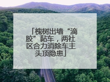 槐树出墙“滴胶”黏车，两社区合力消除车主头顶隐患