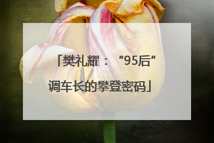 樊礼耀：“95后”调车长的攀登密码