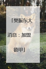 樊振东大消息：加盟德甲