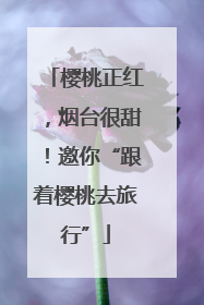 樱桃正红，烟台很甜！邀你“跟着樱桃去旅行”