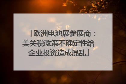 欧洲电池展参展商：美关税政策不确定性给企业投资造成混乱