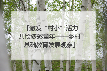 激发“村小”活力 共绘多彩童年——乡村基础教育发展观察