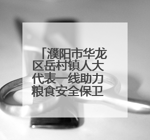 濮阳市华龙区岳村镇人大代表一线助力粮食安全保卫战