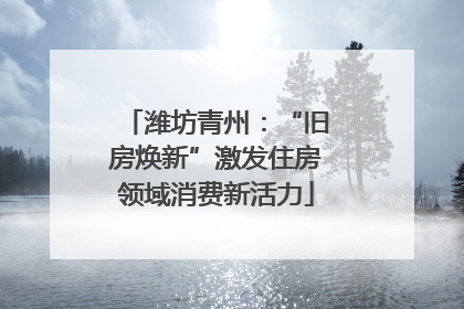 潍坊青州：“旧房焕新”激发住房领域消费新活力