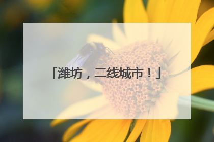潍坊，二线城市！