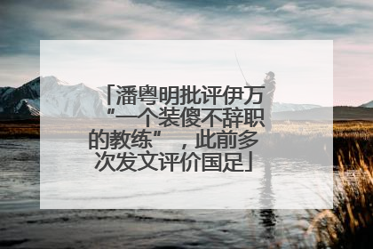 潘粤明批评伊万“一个装傻不辞职的教练”，此前多次发文评价国足
