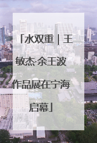 水双重｜王敏杰·余王波作品展在宁海启幕