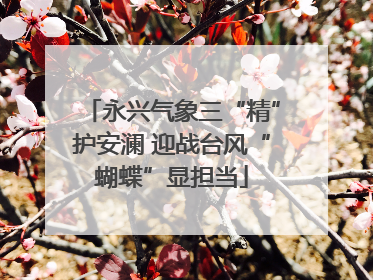 永兴气象三“精”护安澜 迎战台风“蝴蝶”显担当
