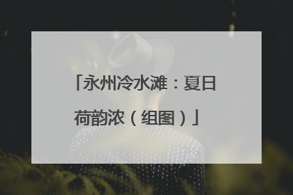 永州冷水滩：夏日荷韵浓（组图）