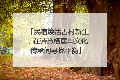 民宿焕活古村新生，在诗意栖居与文化传承间寻找平衡