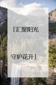 汇聚阳光 守护花开