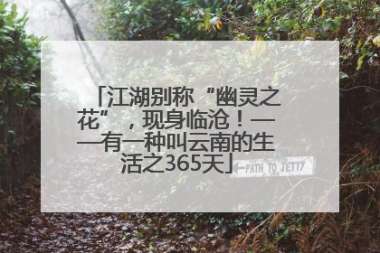 江湖别称“幽灵之花”，现身临沧！——有一种叫云南的生活之365天