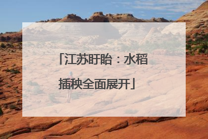 江苏盱眙：水稻插秧全面展开