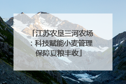 江苏农垦三河农场：科技赋能小麦管理保障夏粮丰收